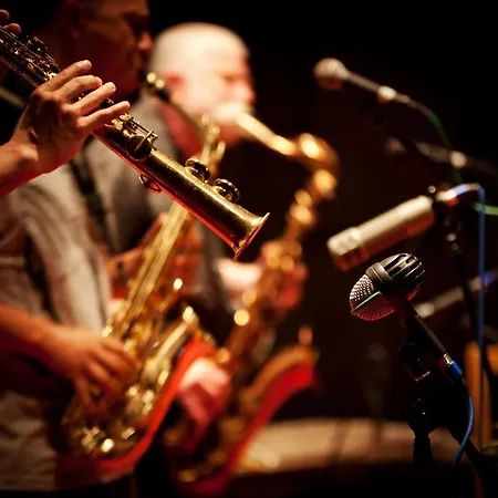 Appartement Studio Confort Centre *