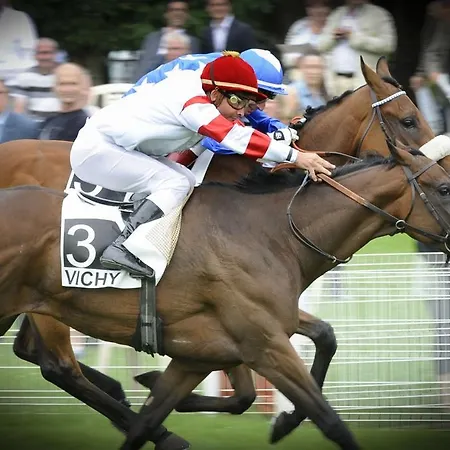 Studio Confort Centre